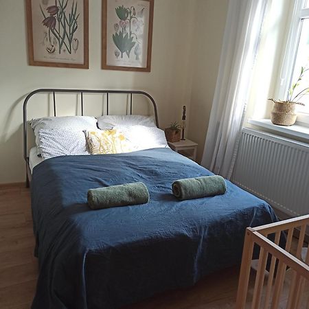Apartament Przy Wandy Zielona Góra Kültér fotó